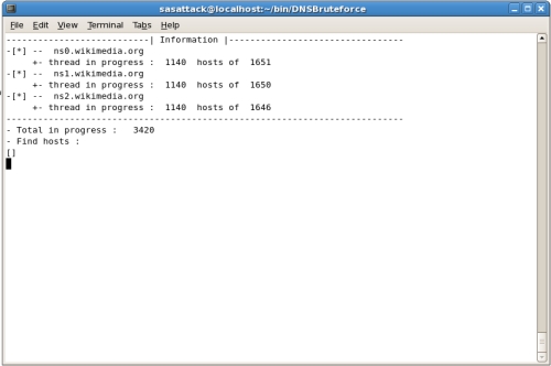 DNSBruteforce program running