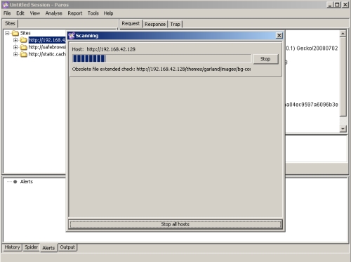 Paros scanning capability